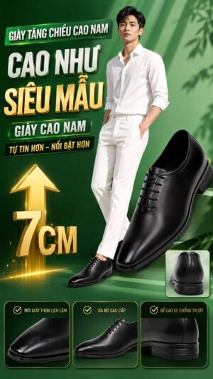 Giày nam tăng chiều cao cao cấp cho nam giới